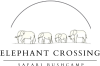 Elephant-Crossing-white-background-1-01.png